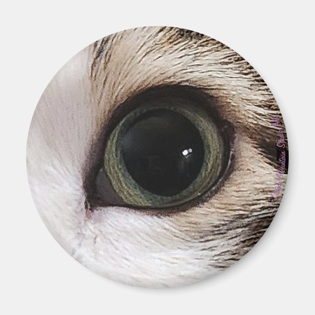 "Die Augen haben es" Katzenauge #2-Magnet Magnet (Vorne)