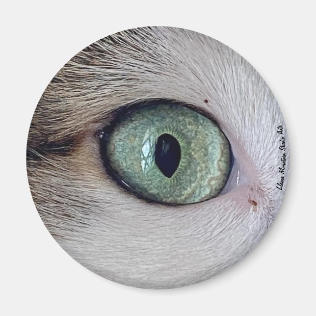 "Die Augen haben es" Katzenaugenmagnet Magnet (Vorne)