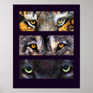 Die Augen haben es, Poster