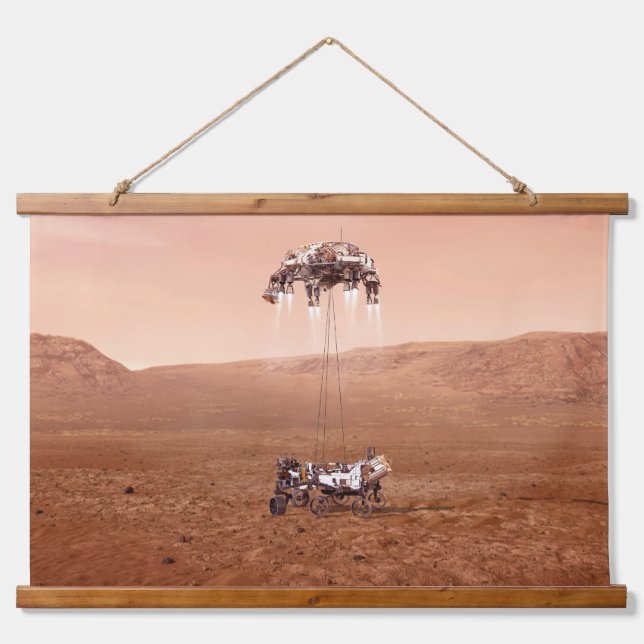 Die Ausdauer lief sicher auf den Mars. Wandteppich Mit Holzrahmen (Vorne)