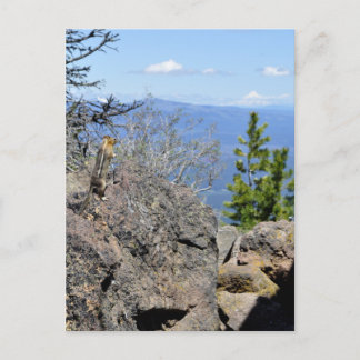 Die Aussicht genießen Postkarte