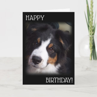 Die Aussie Dog Birthday Card A1 Karte