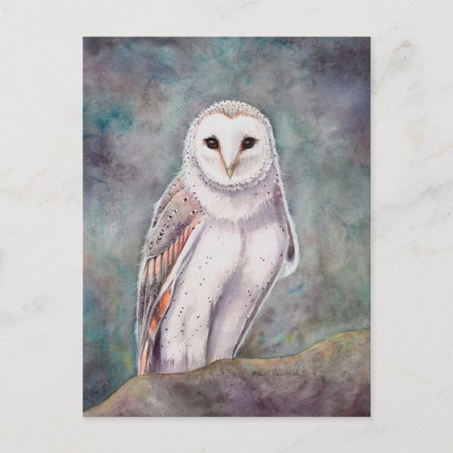 Die Barn Owl Wildlife Wasserfarben-Kunst Postkarte (Vorderseite)