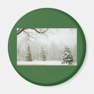 Die Bäume des Winters Magnet