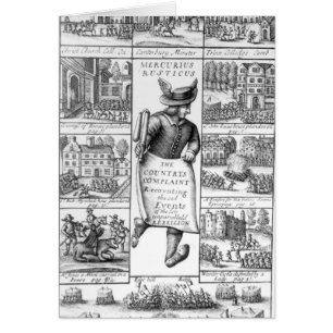 Die Beanstandung des Landes