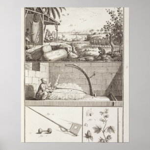 Die Bearbeitung von Baumwolle, vom 'Encyclopedia Poster