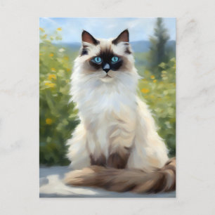Die beeindruckende Ruhe der Ragdoll Postkarte