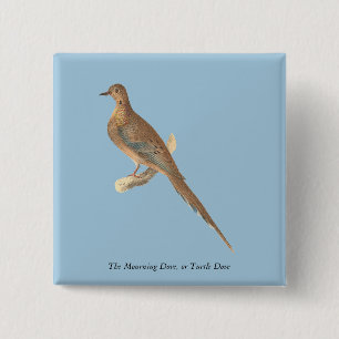 Die beklagende Taube (Carolina Turtle Dove) NY Vög Button