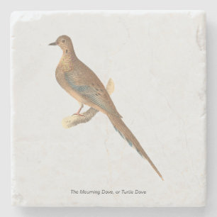 Die beklagende Taube (Carolina Turtle Dove) NY Vög Steinuntersetzer