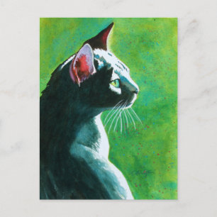 Die beliebtesten Tickles Postkarte