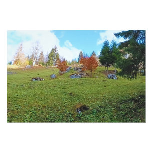 Die Bergwiese - Wilde Natur Rumänien Fotodruck