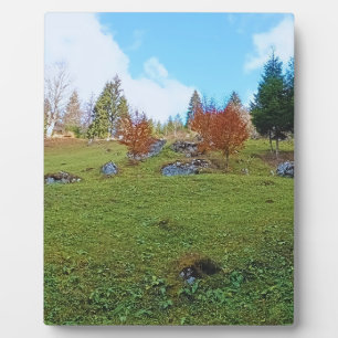 Die Bergwiese - Wilde Natur Rumänien Fotoplatte