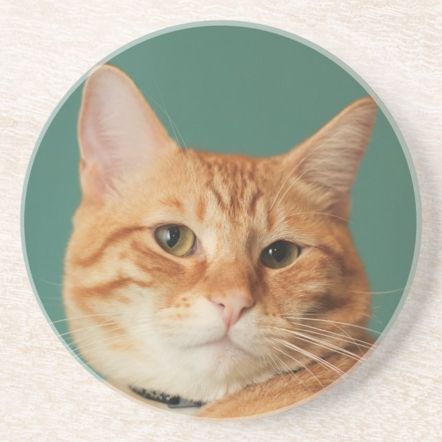 Die beste Seite des Lokis Untersetzer (Vorne)