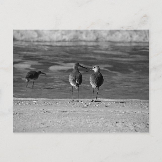 Die besten Dinge im Leben sind kostenlos Postkarte (Vorderseite)