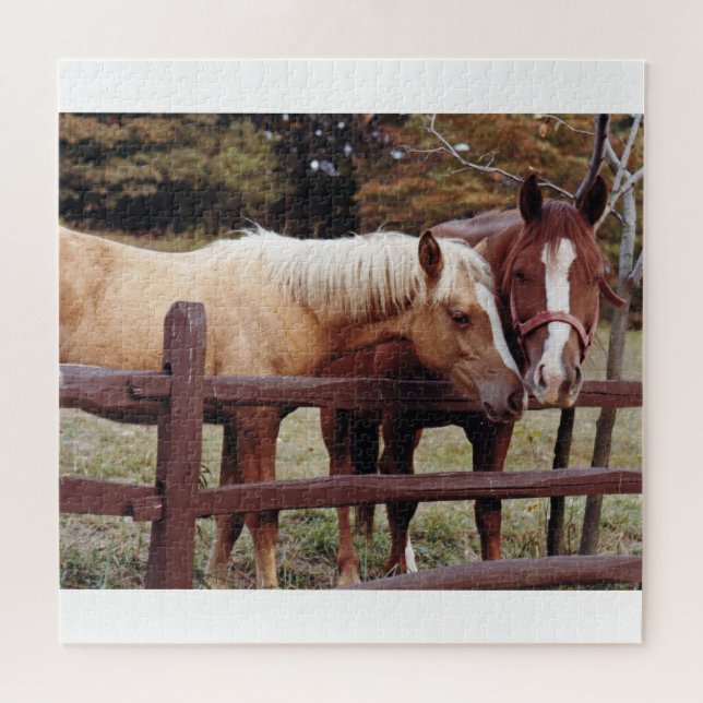 Die besten Freunde (Horizontal)