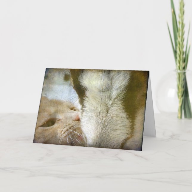 Die besten Freunde Cat and Goat Jeden Anlaß Karte (Vorderseite)