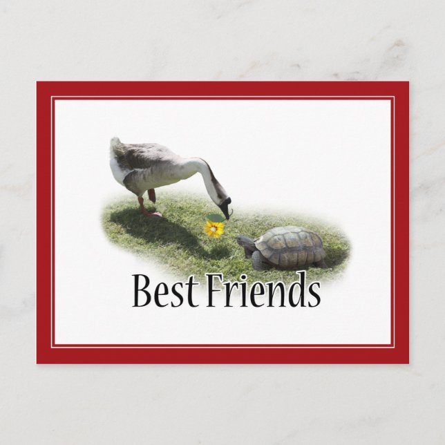 Die besten Freunde - Die Schildkröte und die Gänse Postkarte (Vorderseite)