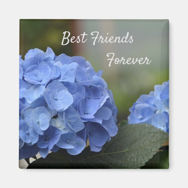 Die besten Freunde für die Hydrangeas Magnet (Vorne)