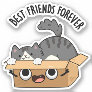 Die besten Freunde für immer Funny Cat and Box Puf Aufkleber