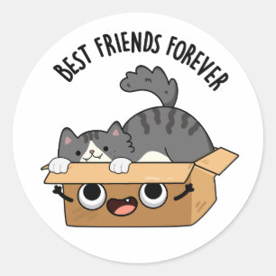 Die besten Freunde für immer Funny Cat and Box Puf Runder Aufkleber