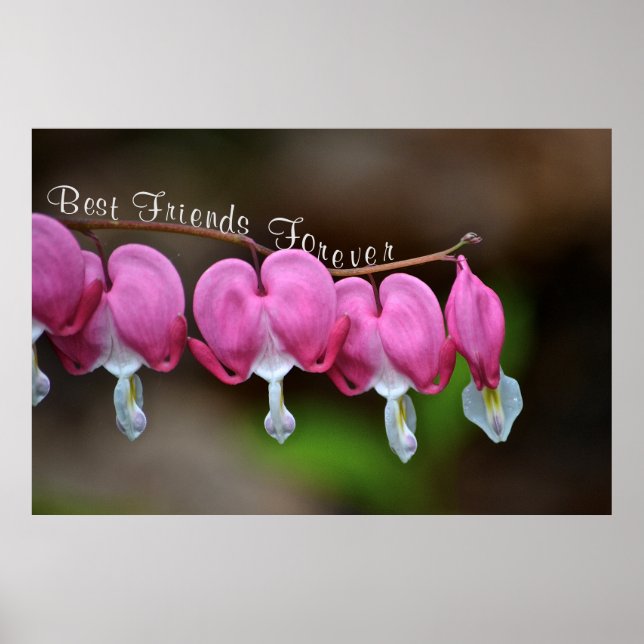 Die besten Freunde für immer Poster (Vorne)