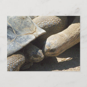 Die besten Freunde für immer Postkarte