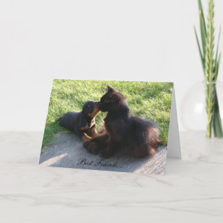 Die besten Freunde Karte