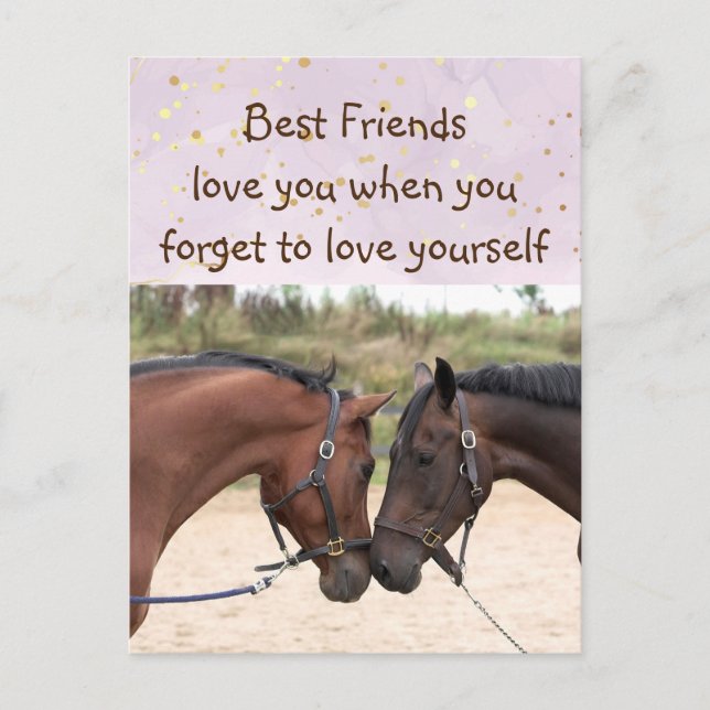 Die besten Freunde Liebe Pferde Liebe Sie Inspirat Postkarte (Vorderseite)