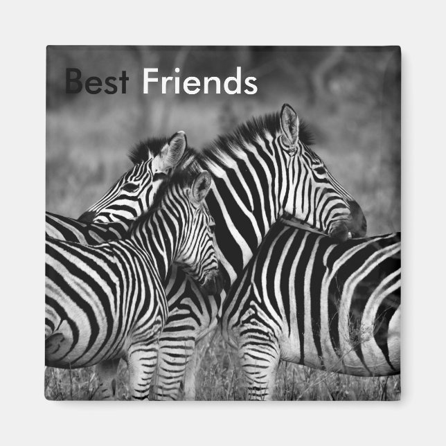 Die besten Freunde Magnet (Vorne)