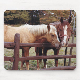 Die besten Freunde Mousepad