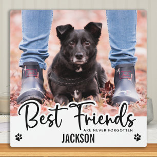 Die besten Freunde nie vergessen Pet-Memorial Fotoplatte