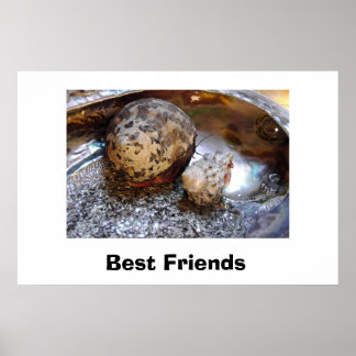 Die besten Freunde Poster