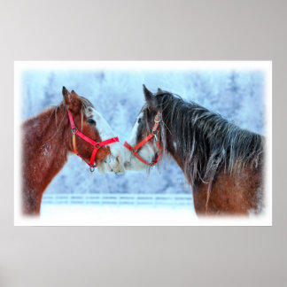 Die besten Freunde Poster