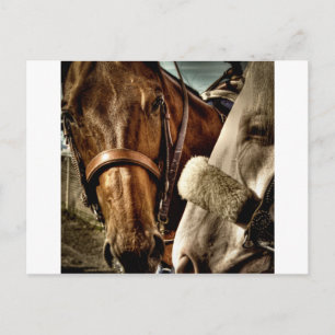 Die besten Freunde Postkarte