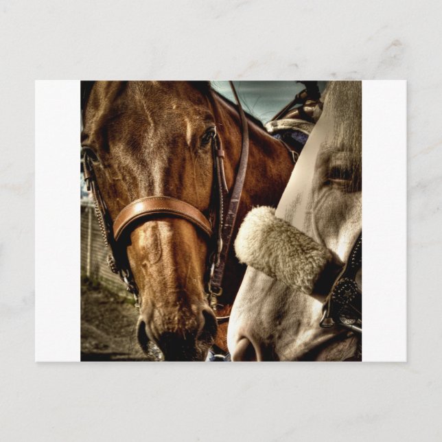 Die besten Freunde Postkarte (Vorderseite)