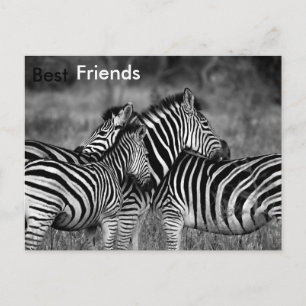 Die besten Freunde Postkarte