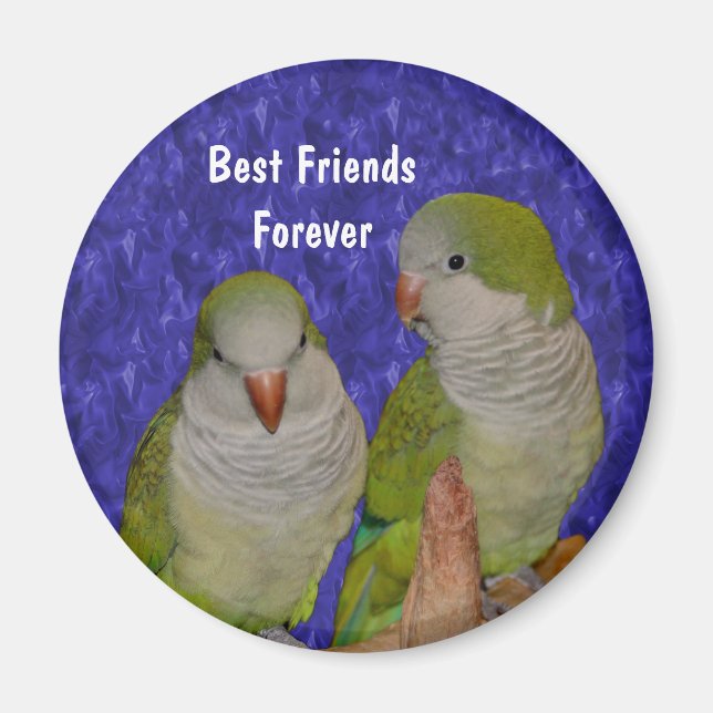 Die besten Freunde Quaker Parrots Niedlich Magnet (Vorne)