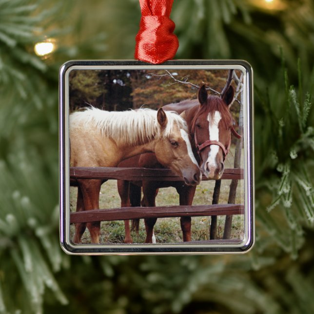 Die besten Freunde Silbernes Ornament (Baum)
