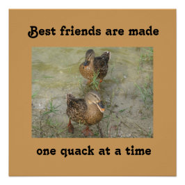 Die besten Freunde sind gemacht - 20 x 20 Poster