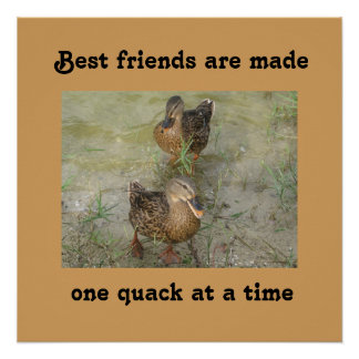 Die besten Freunde sind gemacht - 20 x 20 Poster