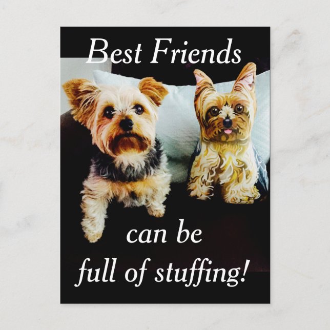 Die besten Freunde voll gestopft Yorkie Personaliz Postkarte (Vorderseite)
