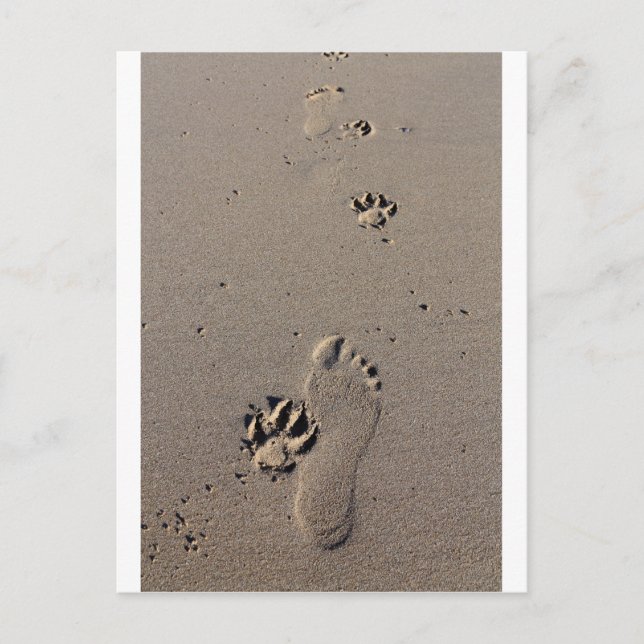 Die besten Freunde von Mensch und Hund Postkarte (Vorderseite)