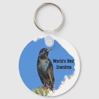 Die besten Oma-Starling und Kakteen im Südwesten d
