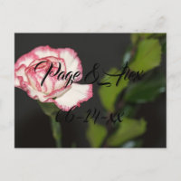 Die besten Wünsche nach neuem Weds Wedding Destiny