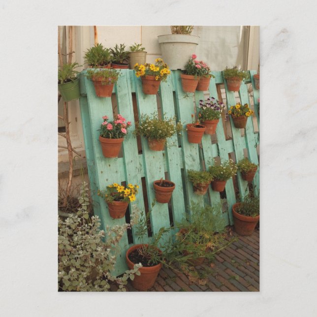 Die bezaubernde Gartenanlage Blume Pots Rustikaler Postkarte (Vorderseite)