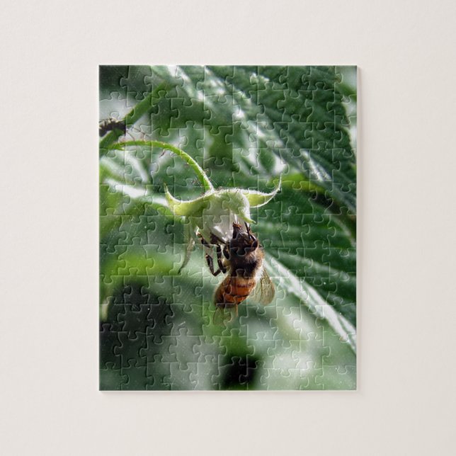 Die Biene auf der Himbeere Bush (Vertikal)