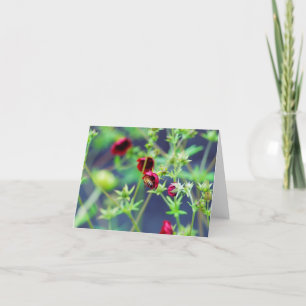 Die Biene mit der roten Blume Karte