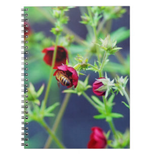 Die Biene mit der roten Blume Notizblock