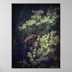 Die Biene Poster