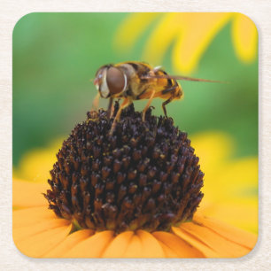 Die Bienen des Sommers - Daisy-Untersetzer Rechteckiger Pappuntersetzer